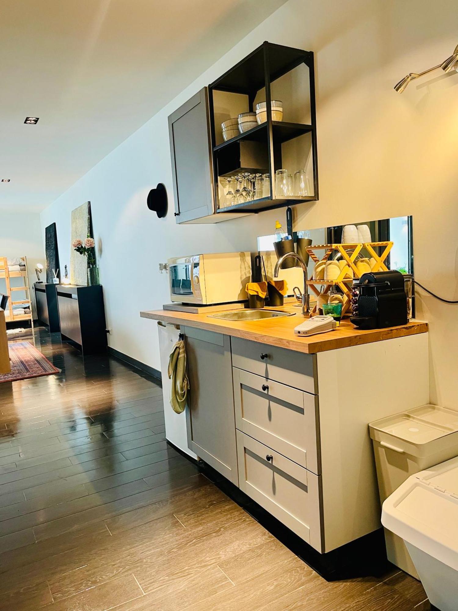 Apartment Down Town Spacious Loft Retreat With Private Parking Brussels